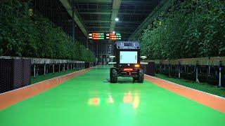 Smart technologies help farmers build smart farms in E China's Zhejiang