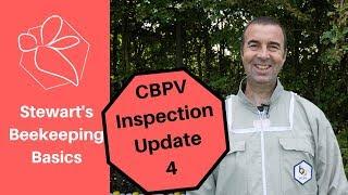Chronic Bee Paralysis Virus Update 4 - Stewart Spinks at The Norfolk Honey Co.