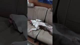 #PitMom #IdontFuckWitU