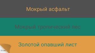 ️Быстрая смена цветов!️10 сек (Мокрый асфальт, мокрый тропический лес, золотой опавший лист)