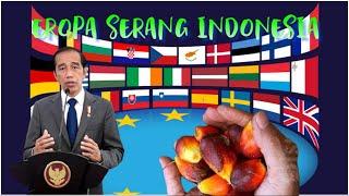 Europe Attacks Indonesian Palm Oil