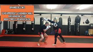 Orange Belt #2
