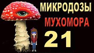 21 Что ядовитее ИБОТЕНОВОЙ кислоты?  Маша Какая-то, баба