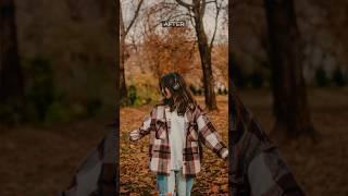 Autumn Amber FREE Lightroom Presets DNG XMP | Autumn Amber Lightroom Presets Free Download 