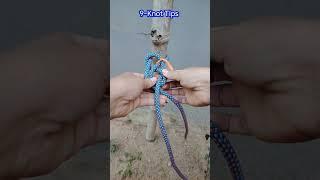 Do you know this knot #practical #ropework #ropetutorial