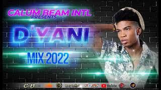 Dyani Mix 2022 / D'yani Mixtape 2022 / D'yani Dancehall Mix 2022