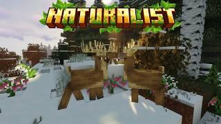 Minecraft Naturalist Mod Showcase! (All New Animals) 1.20+