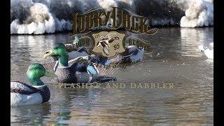 How-To Setup Lucky Duck Splasher or Dabbler