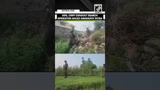 SOG, CRPF conduct search operation ahead Amarnath Yatra 2025 in Kathua