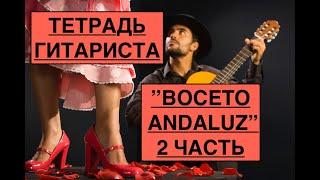 ТЕТРАДЬ ГИТАРИСТА «Boceto Andaluz » Разбор 2 Часть