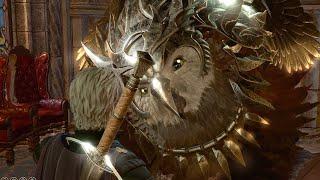 Speaking To Our HUGE Pet Owlbear - Baldur's Gate 3