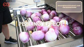 Onion Peeling  Cutting And Packaging Processing Line