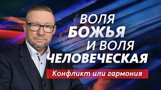 Воля человеческая и воля Божья. Конфликт или гармония | Алексей Ледяев | 30.10.24