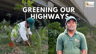 Ghazipur Flyover - A Green Transformation