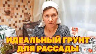 ИДЕАЛЬНЫЙ ГРУНТ ПРИЯТНО САЖАТЬ РАССАДУ СПОСОБ ВЫБОРА ГРУНТА ДЛЯ КРЕПКОЙ РАССАДЫ @obovsemsmarusya