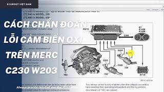 Chẩn đoán Merc C230 W203 báo lỗi cảm biến oxy