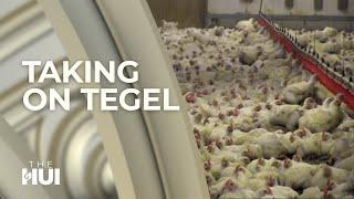 Poultry giant Tegel wants to build Aotearoa's largest chicken farm next to a Marae I The Hui 2018