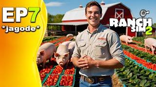 POKRENUO BIZNIS SA JAGODAMA, PRODAO GROŽĐE! *Ranch Simulator 2* EP7