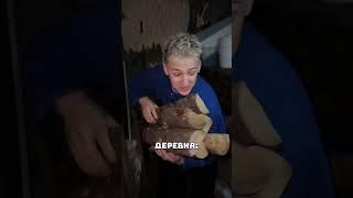 ЧТО ЛУЧШЕ: ГОРОД ИЛИ ДЕРЕВНЯ?