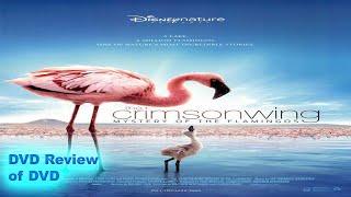 DVD Review of Disney Nature: The Crimson Wing Mystery of the Missing Flamingos