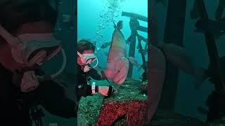 He Touched a Fish… Then This Happened!  #Shorts