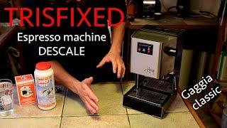 GAGGIA CLASSIC DESCALING. How I descale my espresso machine