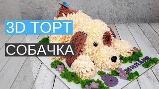 3D торт "Собачка". Показываю как сделать