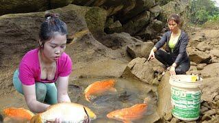 Greatest Fishing, How to Catch Wild Fish, The Girl Use Motors to Suck Water, Harvest Many Big Fish