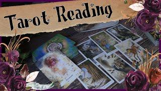 Are You Asking The Right Questions ⭐ Tarot and Oracle Reading