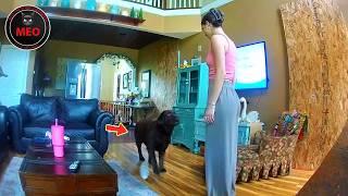 Incredible Moments Caught on Camera  (P155)