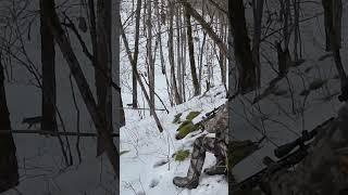 He came in quiet #coyote #predatorhunting #foxpro #snow #winter #cold #hunting #outdoors #cool #fun