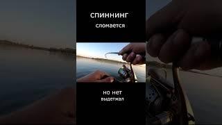 Щука монстр чуть не сломала спиннинг