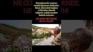 EMEKLİ ÖĞRETMENİN YEŞİL DEVRİMİ: GÜMÜŞHANE DAĞLARINA 4.000 FİDAN!