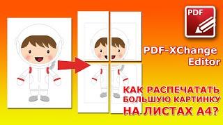 PDF-XChangeEditor  - Как распечатать большую картинку на листах формата A4?