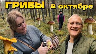 Собираем грибы в лесу возле Риги! | Латвия, конец октября