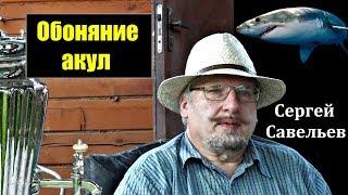 С.В. Савельев об обонянии акул