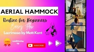 Beautiful Aerial Hammock Routine For Beginners | EXCITING NEWS :)| The Aerial Besties | Episode #16