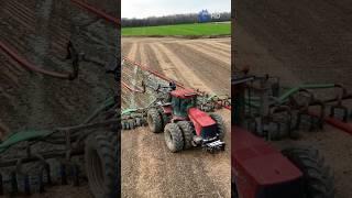 HOW DOES THIS FARM TURN COW MANURE INTO MONEY? NEXT-LEVEL SUSTAINABILITY.