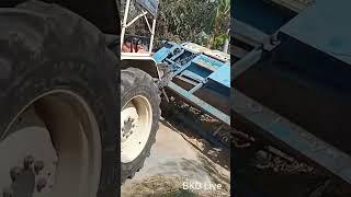 BKD Live ️
