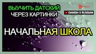 Выучить датский через картинки |датский словарь Начальная школа | Golearn