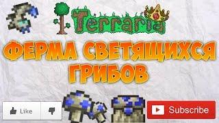 Ферма светящихся грибов | Terraria