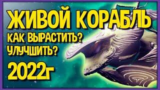 Живой корабль 2022 году | Как получить? Как улучшать? No Man's Sky Гайд