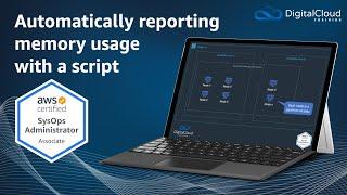 Automatically reporting memory usage with a script