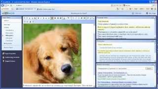 Advanced Editing - How to copy / paste an image on Internet Explorer