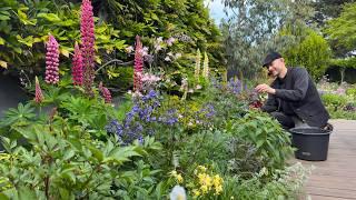 May Garden Tour | Perennial Garden