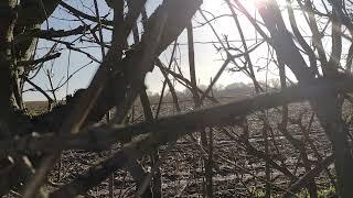 Meditation music 432hz:  The light through the hedge