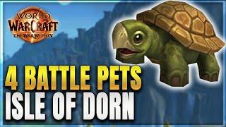 The War Within: All 4 Battle Pet Locations & How to Get Them - Isle of Dorn