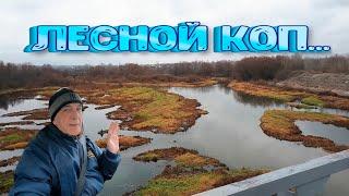 Коп в осеннем лесу