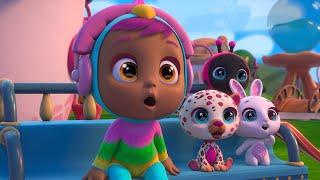 Babies talent  CRY BABIES  MAGIC TEARS  Cartoons for babies