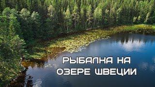 Рыбалка на озере в Швеции 2021. Фидер